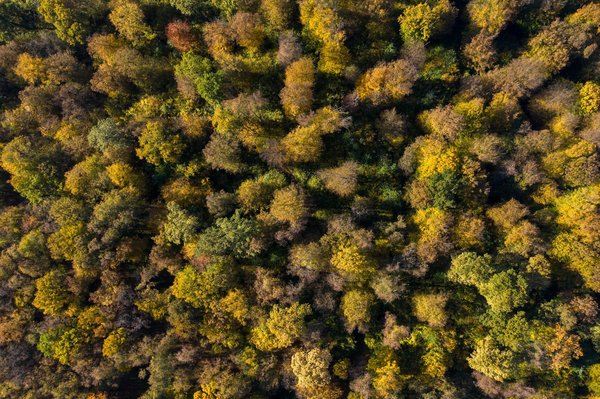Règles jeux : accédez instantanément aux règles de vos jeux préférés